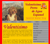 SpanishWaterDog