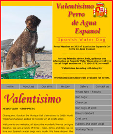 SpanishWaterDog